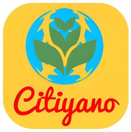 Citiyano De Resource Exim Private Limited logo